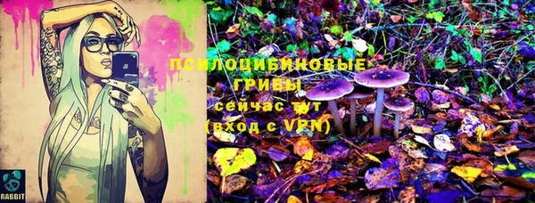 гашик Михайловка