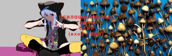 гашик Михайловка