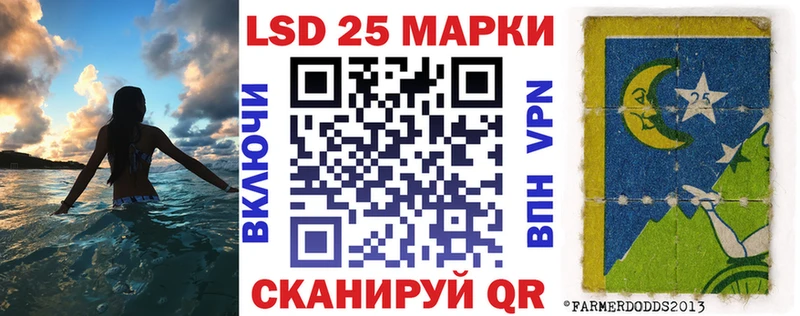 дарнет шоп  Дмитриев  Марки 25I-NBOMe 1,8мг 