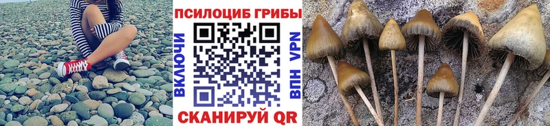 Псилоцибиновые грибы мухоморы  Дмитриев 